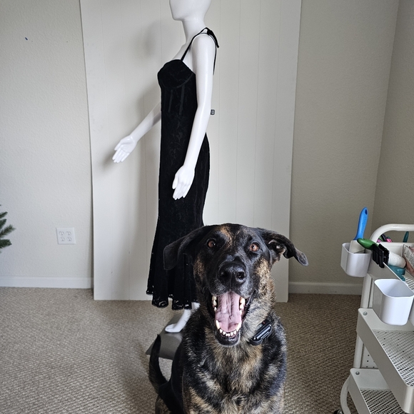 Meet your Posher, Grace - Picture 2 of 2